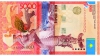 5000-2011averse 5000-2011averse